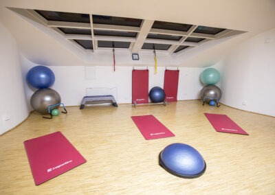 Prostorná tělocvična, která nabízí rezervace pro skupiny až 10 osob, fyzio služby a další fitness možnosti v rámci exkluzivního soukromého wellness centra Crab Club v Ostravě.
